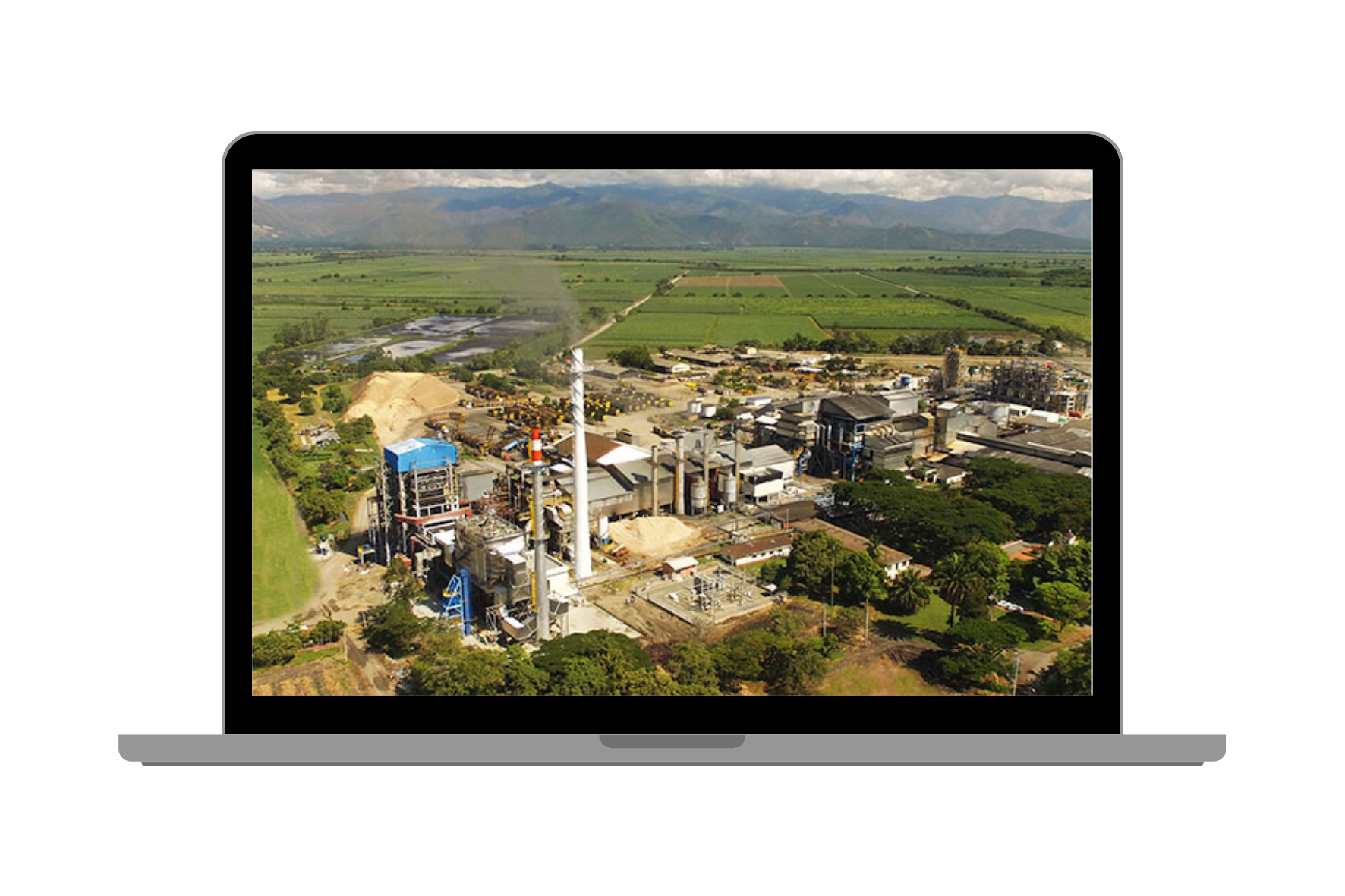 Riopaila Castilla - Caso de éxito