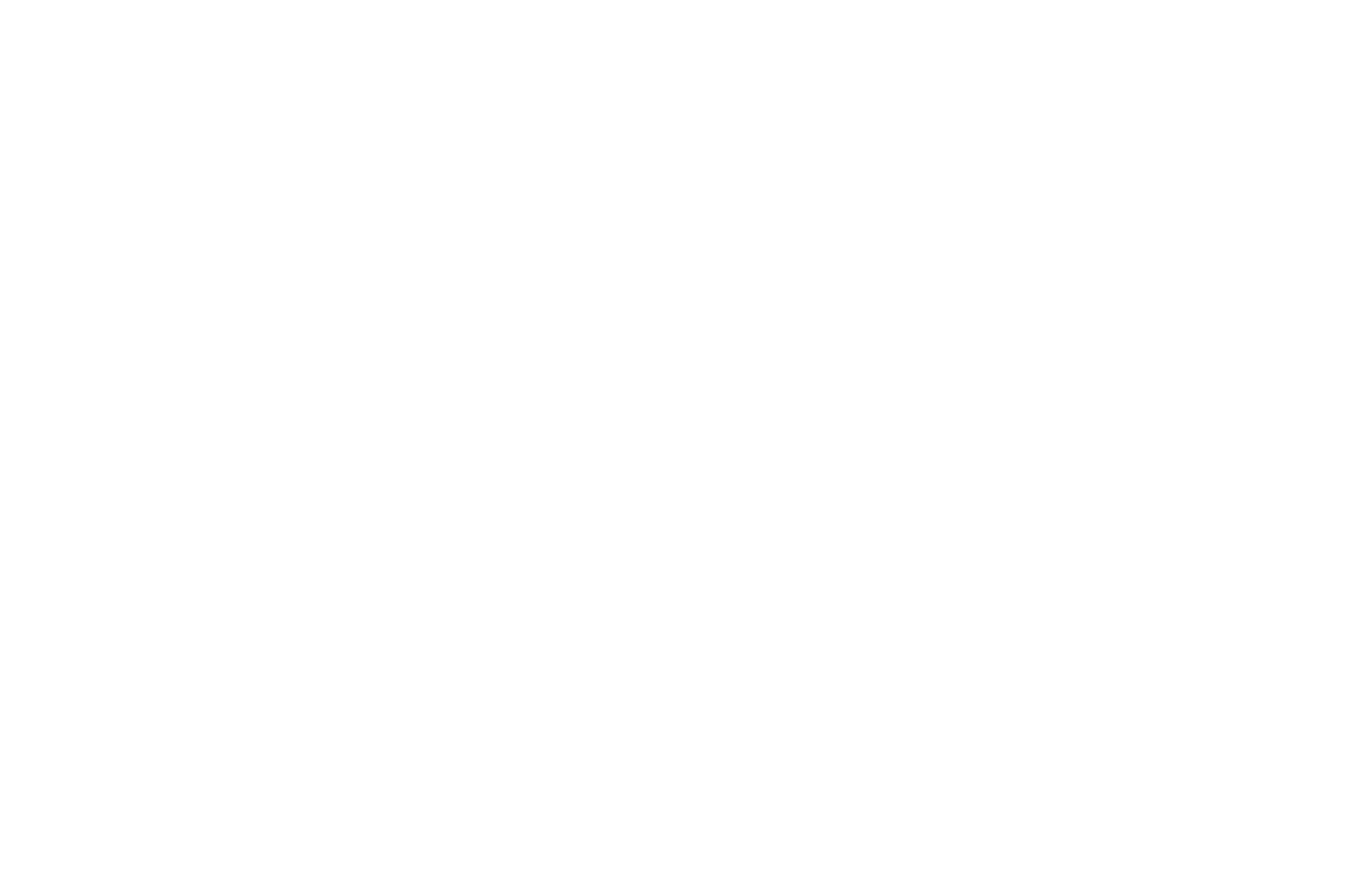 Taghleef Industries