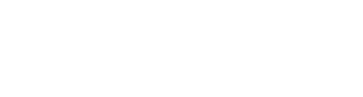Neto